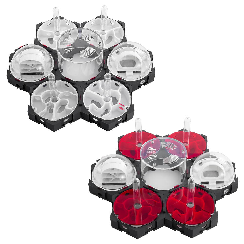 3D การพิมพ์ Ant Nest Infinitel - Begonia Rex บทวิจารณ์และราคา
