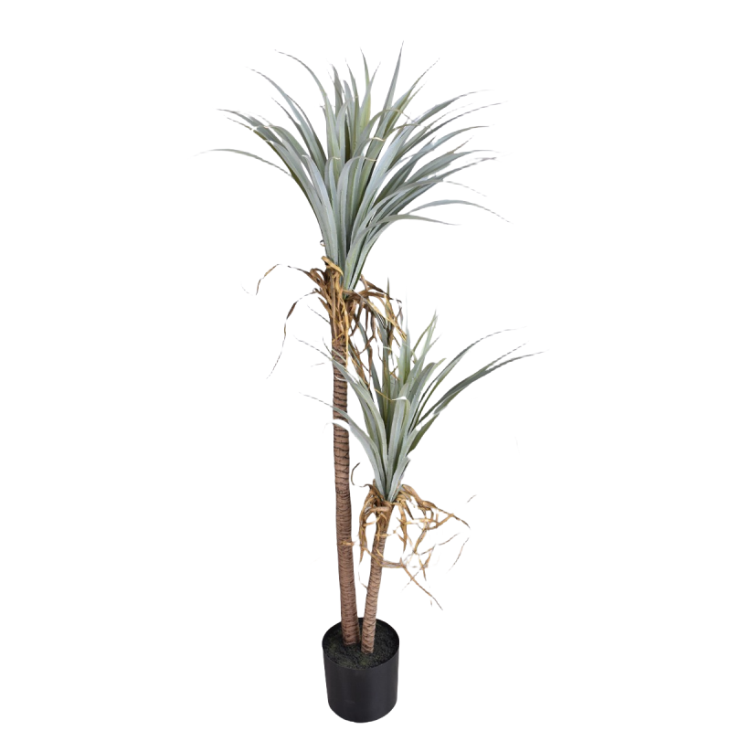 Dragon Blood Yucca ประดิษฐ์ต้น - Dracaena Marginata บทวิจารณ์และราคา