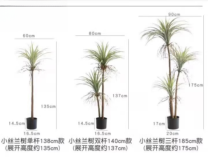 Dragon Blood Yucca ประดิษฐ์ต้น - Dracaena Marginata บทวิจารณ์และราคา