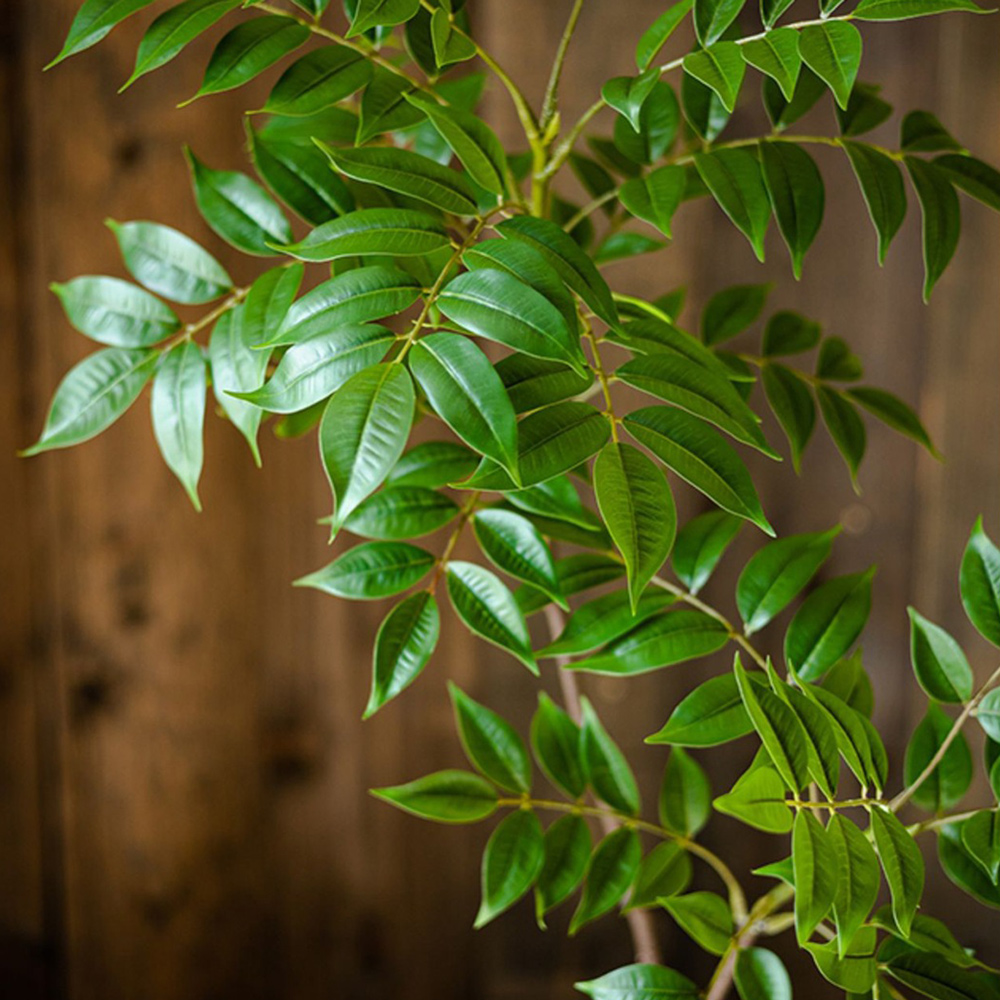76-140 ซม.ขนาดใหญ่ประดิษฐ์ Fic - Ficus Lyrata Tree บทวิจารณ์และราคา