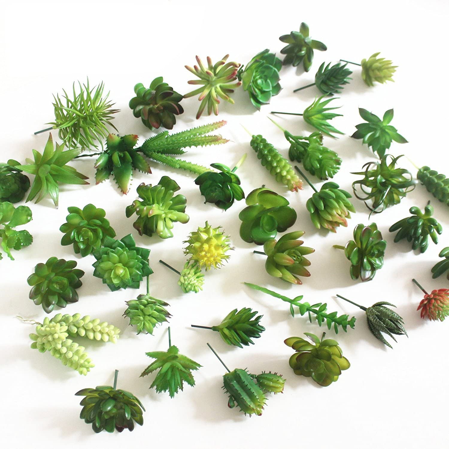 15ชิ้นของตกแต่งพืชอิ่มน้ำปลอมพ - Echeveria Succulent บทวิจารณ์และราคา